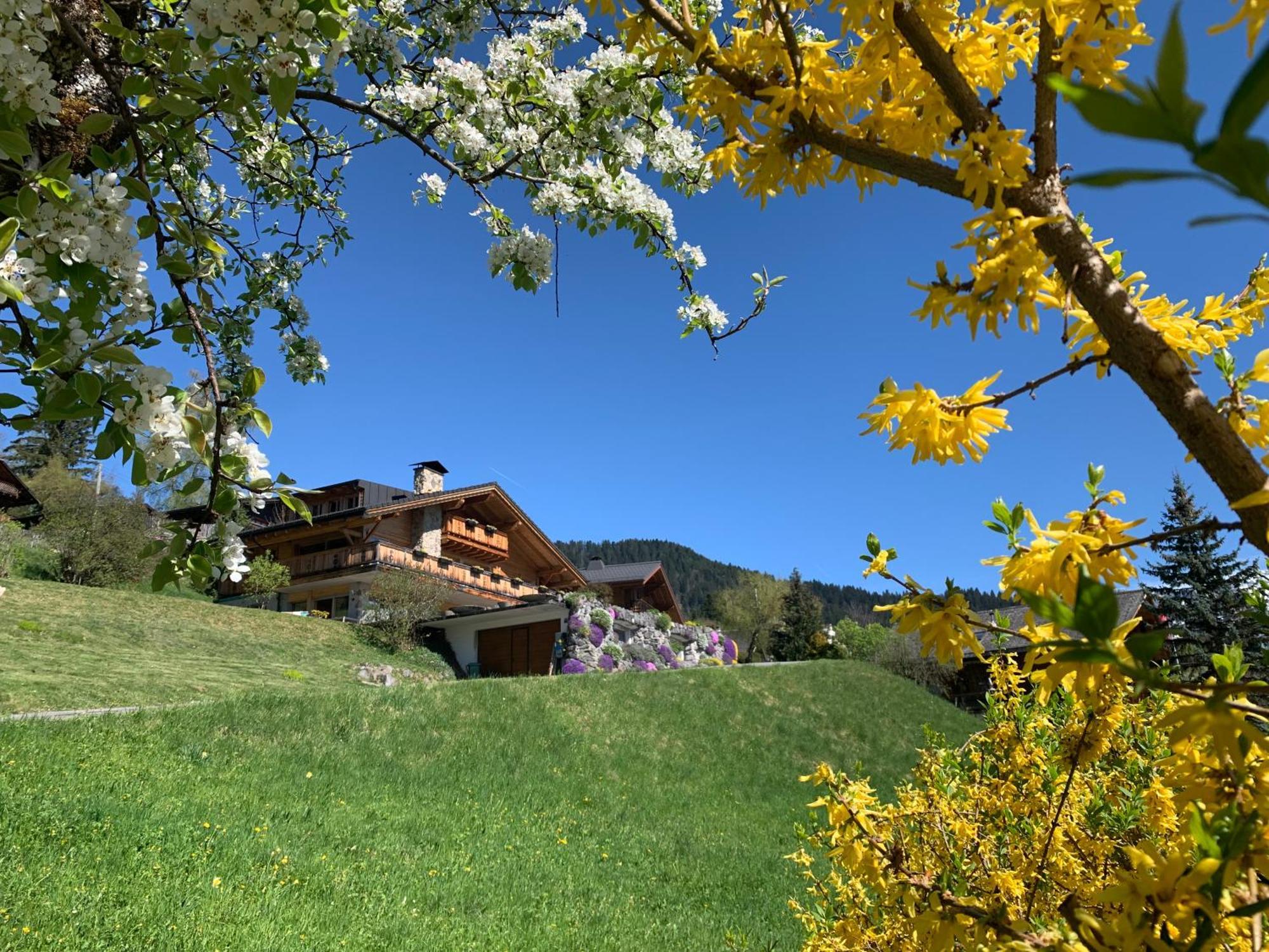 Chalet La Renarde Apartment Villars-sur-Ollon Exterior photo