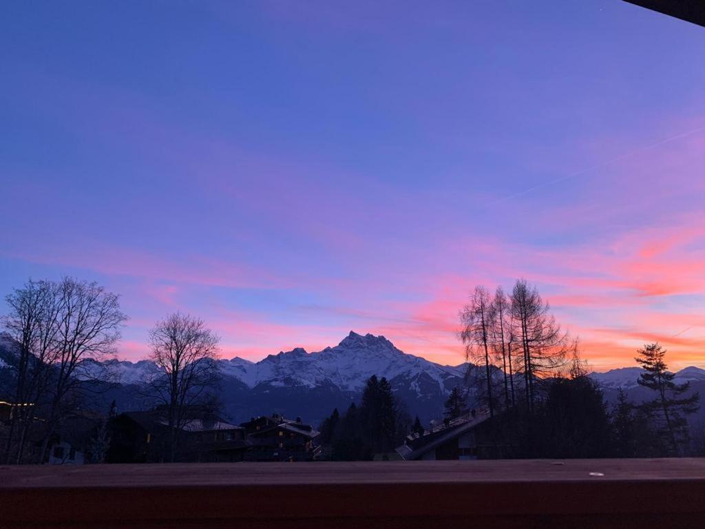 Chalet La Renarde Apartment Villars-sur-Ollon Exterior photo